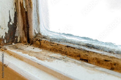 Ice condensation damage to a wooden window frame with rotting, peeling paint and mold