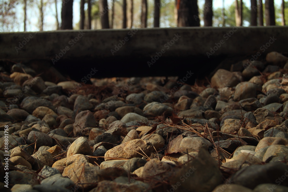 Fototapeta premium River Rocks Under the Bridge