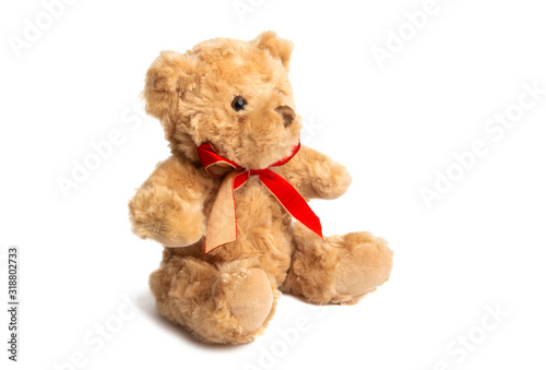 soft bear toy isolated