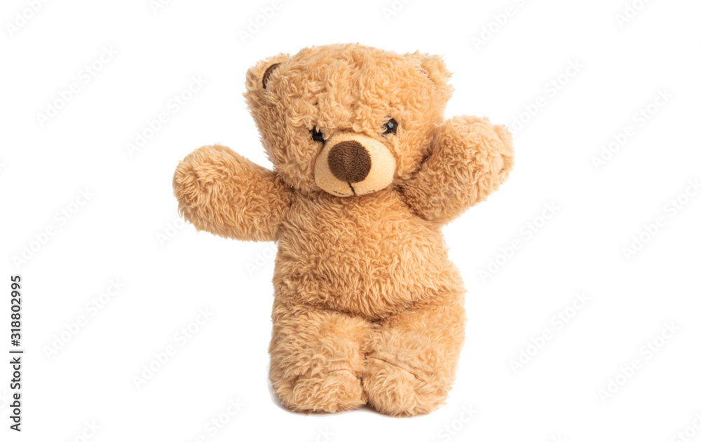 soft bear toy isolated