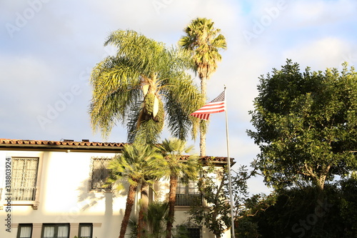 palms in Los Angeles  cool sky 