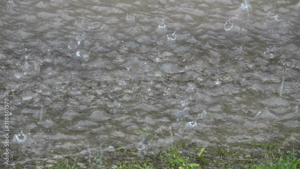The droplets of rain pouring on the lake in Estonia The droplets of rain pouring on the lake in Estonia