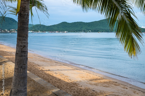 Palm and tropical beach