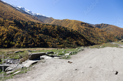 Awsome mountaines and forest near the village of Ushguli in Svaneti. Georgia