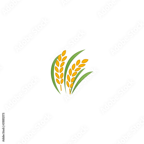Sheaf of Rice Vector Icon. Isolated Ear of Rice Realistic Illustration
