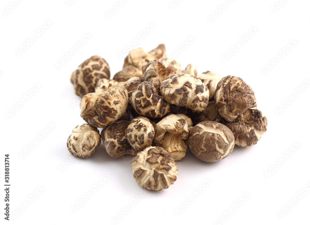 Heap of dry Shiitake mushrooms isolated on white background Heap of dry Shiitake mushrooms isolated on white background