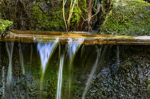 A small natural waterfall in the forest, among stones, branches and logs. There is a lot of green vegetation and moss around. The murmur of a pure natural stream flowing down to the source