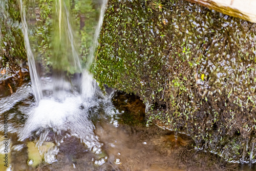 A small natural waterfall in the forest, among stones, branches and logs. There is a lot of green vegetation and moss around. The murmur of a pure natural stream flowing down to the source