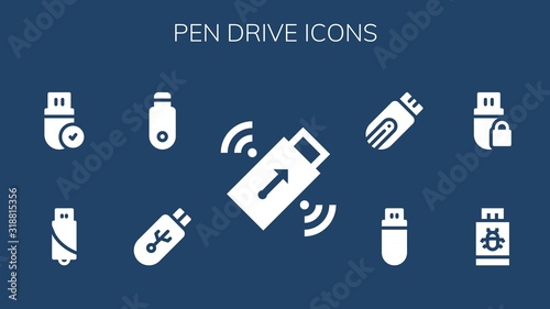 pen drive icon set