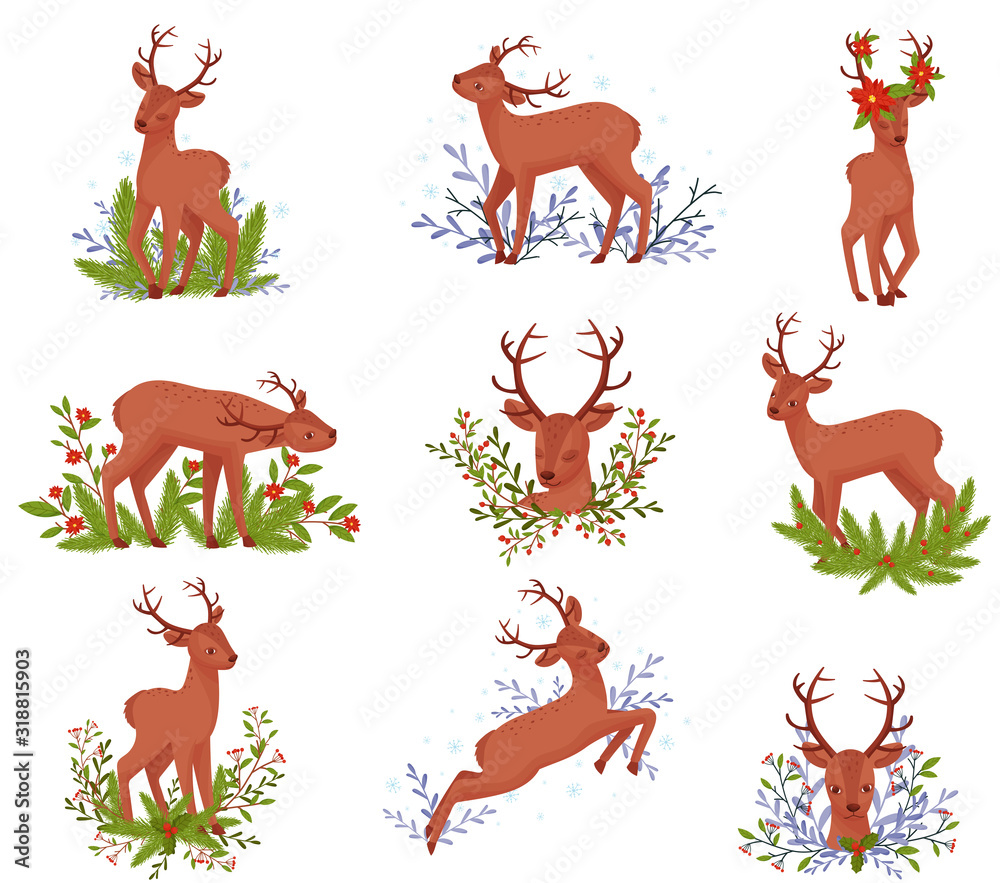 Deer Animal in Different Poses with Floral Elements Behind Vector Illustration