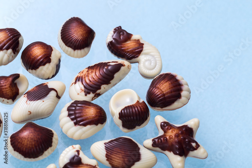 Beautiful chocolate shells, milk chocolate with nut filling, chocolate sweets close-up