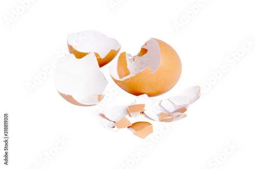 Broken split egg shell