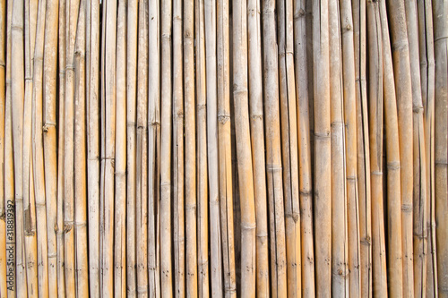 Fotografia Full Frame Shot Of Bamboos