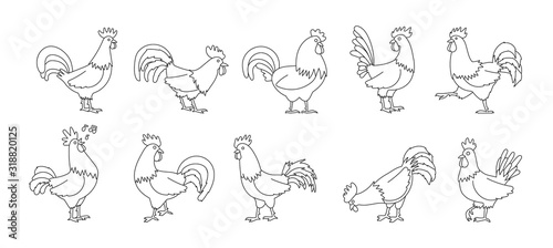 Cock of animal isolated outline set icon.Vector illustration set rooster cockerel.Vector outline icon cock of animal.