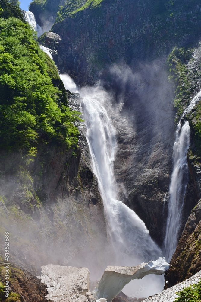 Fototapeta premium Fresh green scenery at Shomyo falls in Tateyama, Japan