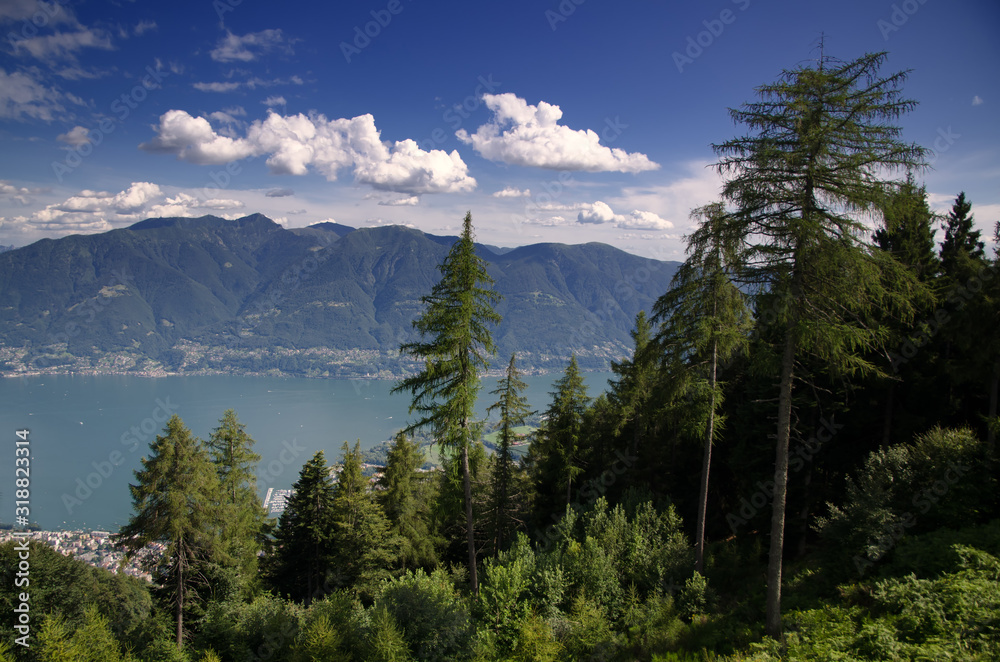 Panoramic View over Mountain and an Alpine Lake Maggiore with Tree in Ticino, Switzerland.