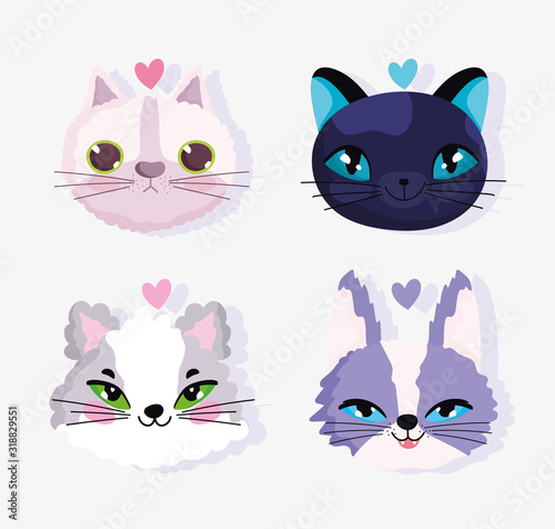 cute faces cats love domestic cartoon animal, collection pets