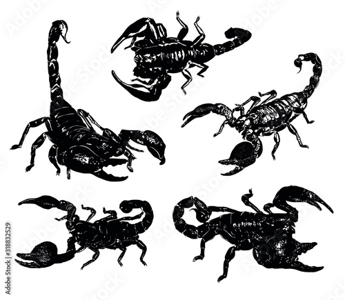 big set poisonous spiders venomous arachnids scorpions
