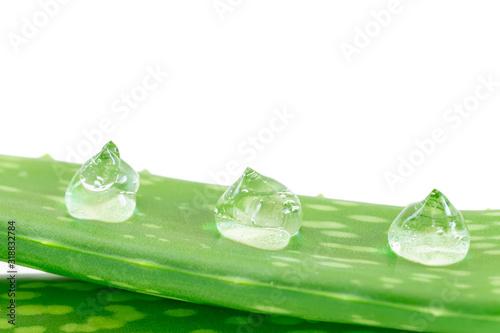  Aloe vera leaves with aloe vera gel drops isolated on white background.