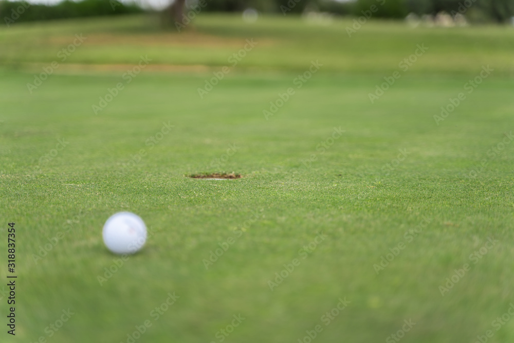 Hole in a golf course with a golf ball Hole in a golf course with a golf ball
