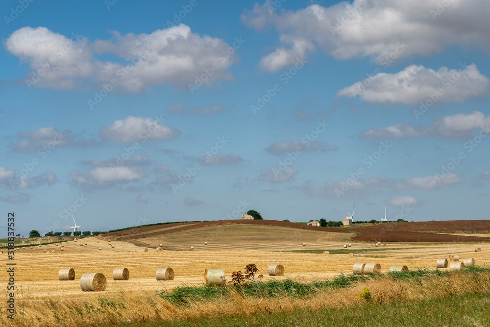 Rural landscape in Apulia at summer