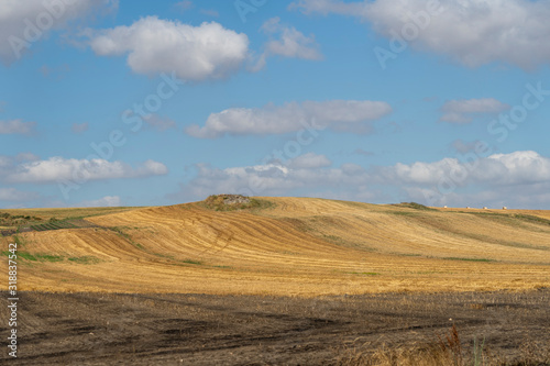 Rural landscape in Apulia at summer