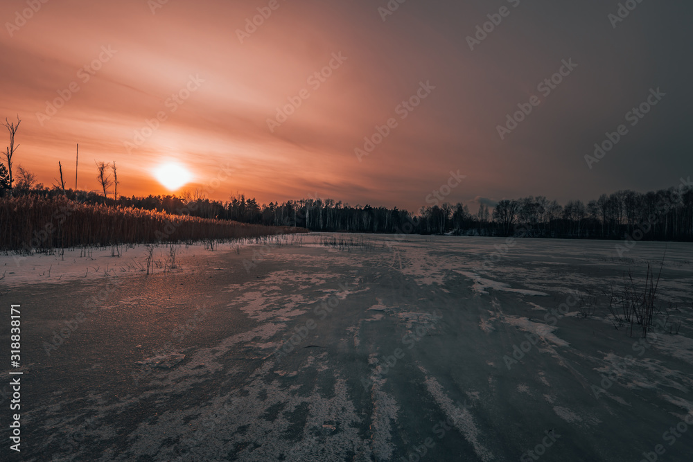 Evening sunset in the winter forest