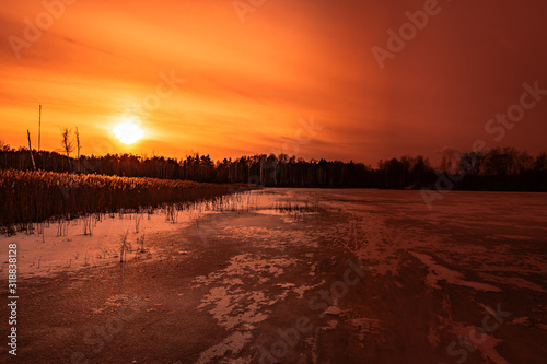 Evening sunset in the winter forest