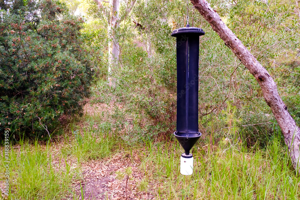 Contech Insect Traps Pheromone trap for invasive insects in a Mediterranean coniferous ...