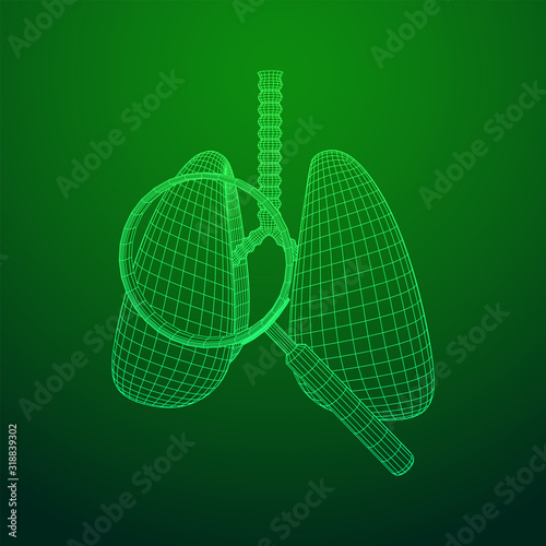 Lungs with trachea bronchi internal organ human with magnifying glass. Pulmonology medicine science analysis concept. Wireframe low poly mesh vector illustration