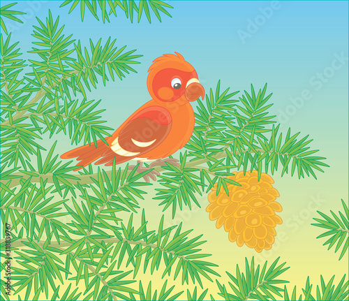 Crossbill with a big cone o...