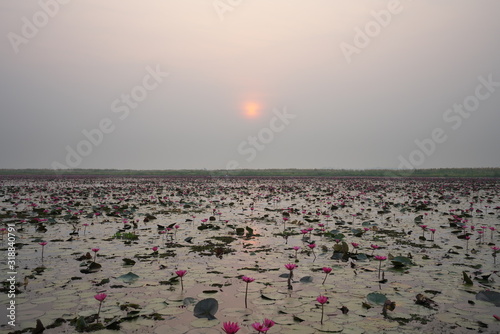 Udon Thani,Thailand-January 24, 2020: Morning scene of Red Lotus Lake or Talay Bua Daeng in Udon Thani, Thailand