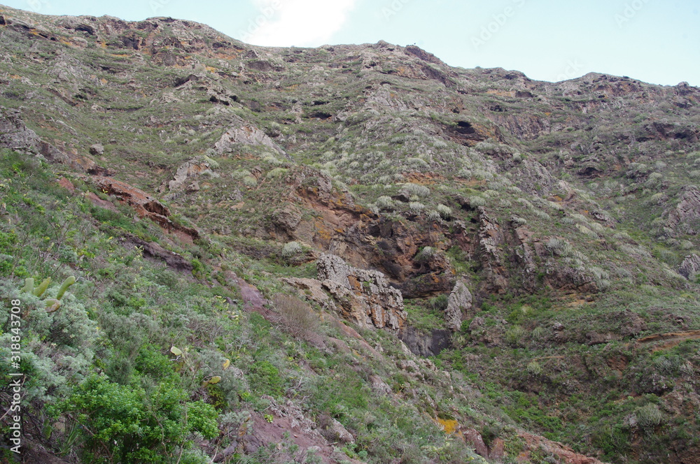 Roque Bermejo Gorge in the north of Tenerife
