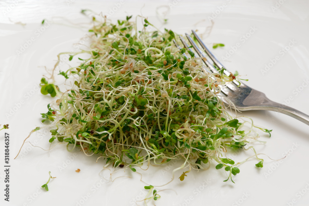 Fresh sprouts on a white plate with a silver fork Fresh sprouts on a white plate with a silver fork