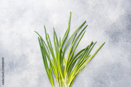 Green onions or shallots on a grey concrete background with a copy of the space.