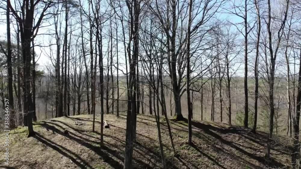 Lithuanian early spring Tree forest drone video Lithuanian early spring Tree forest drone video