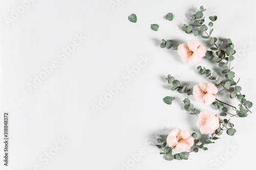 Flowers composition - fresh eucalyptus leaves and cotton flowers    on light background. Delicate floral background. Flat lay, top view, copy space © lara-sh