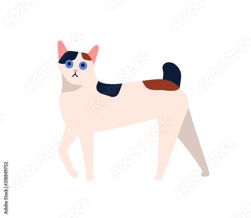 Принти на полотні Cartoon japanese bobtail cat breed vector flat illustration