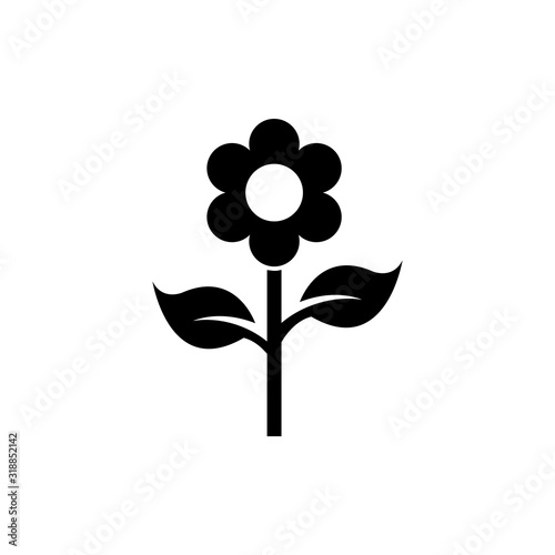 Chamomile Blossom, Flower Plant Flat Vector Icon