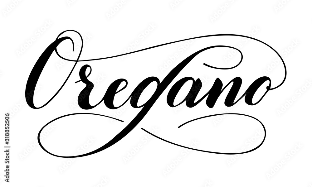 Vector hand written oregano text isolated on white background. Kitchen healthy herbs and spices for cooking. Script brushpen lettering with flourishes. Handwriting for banner, poster, product label Vector hand written oregano text isolated on white background. Kitchen healthy herbs and spices for cooking. Script brushpen lettering with flourishes. Handwriting for banner, poster, product label