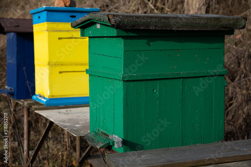 Sunny winter, wintering bees on an apiary, Small apiary