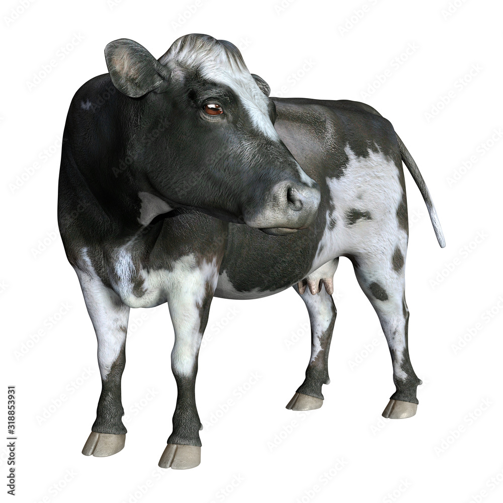Fototapeta premium 3D Rendering Cow on White