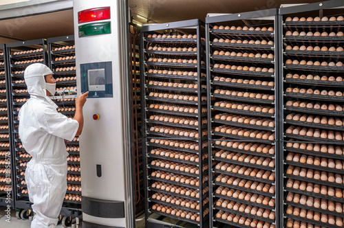 worker at a chicken egg hatchery inspecting the conditions