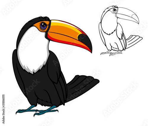 Cartoon toucan bird and outline vector silhouette. Exotic tropical bird mascot for sport club, for kids and zoo