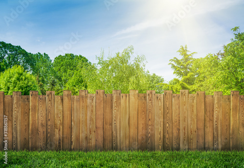trees in garden and wooden backyard fence with grass