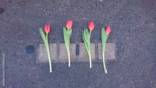 Stolpersteine mit Blumen zur Würdigung