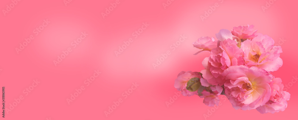 Fototapeta premium Bouquet of pink roses with a bud on a pink background, mockup for greeting card Happy Valentine's Day, Mother's Day, banner, background, copy space