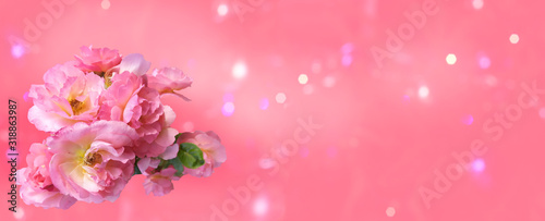 Bouquet of pink roses with a bud on a pink background with bokeh  mockup for greeting card Happy Valentine s Day  Mother s Day  banner  background  copy space