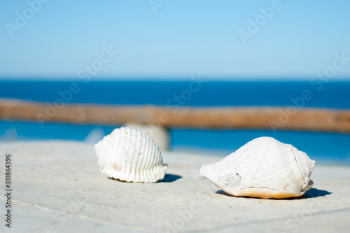 White conch shells on a white stone surface with background of the sea and a wooden gate