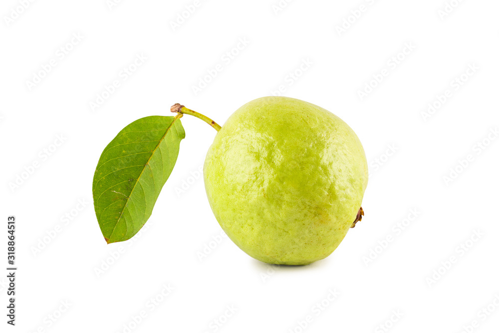 guava is tropical  fruits on white background fruit agriculture food isolated